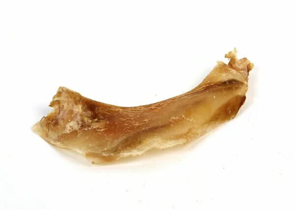 лопаточная кость крс. передняя средняя и задняя лестничные мышцы. лопаточный хрящ. лопаточный хрящ говяжий. лопаточный хрящ говяжий.