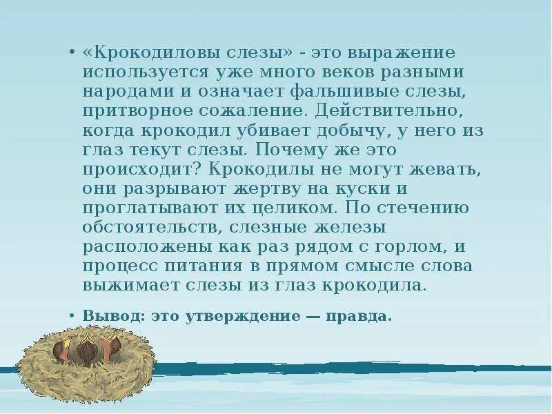 План текста крокодиловы слезы. Крокодиловы слезы происхождение. Крокодильи слезы фразеологизм. Крокодильи слезы происхождение фразеологизма. Крокодиловы слёзы происхождение фразеологизма.