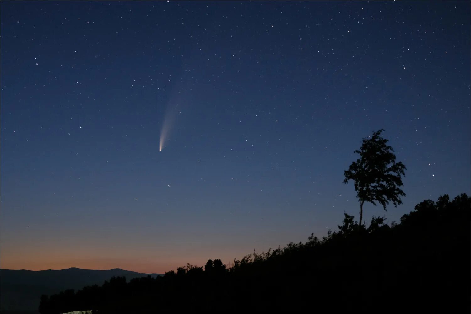 Комета в хабаровске сегодня. Комета неовайз. Комета в ночном небе. Ночное небо с кометой. Комета вечером.