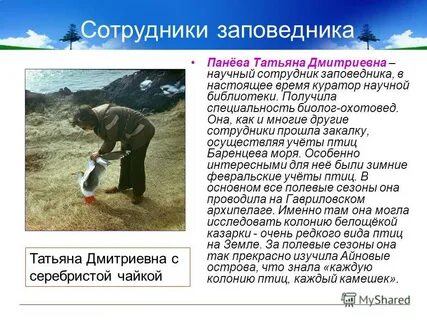 Биолог охотовед профессия