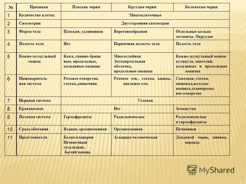 Плоские черви сравнение. Таблица черви 7 класс биология плоские круглые кольчатые черви. Типы червей плоские круглые кольчатые черви таблица. Таблица черви 7 класс биология плоские круглые кольчатые. Биология 7 класс таблица плоские черви круглые черви кольчатые черви.