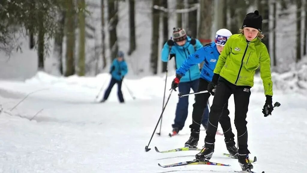 Школьники на лыжах. Лыжи в школе. Дети на беговых лыжах. Лыжники школьники.