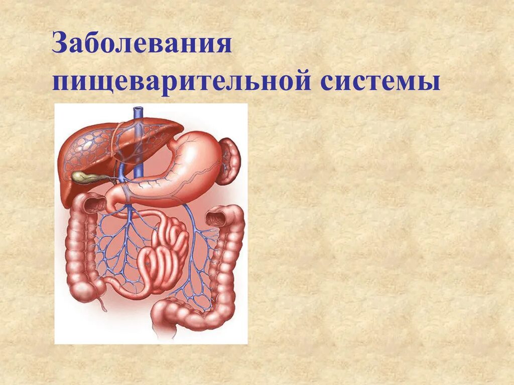 Заболевания органов пищеварения. Заболевания пищеварительной системы человека. Заболевание пищеварительной системы презентация. Болезни органов пищеварительной системы. Проблемы пищеварительной системы