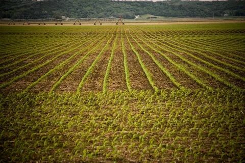 Farms sale