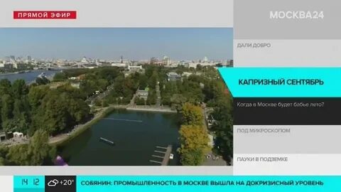 Москва 24 видео