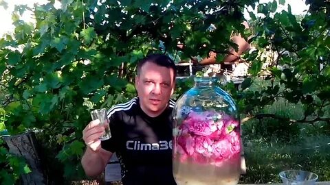 Вино чайной розы