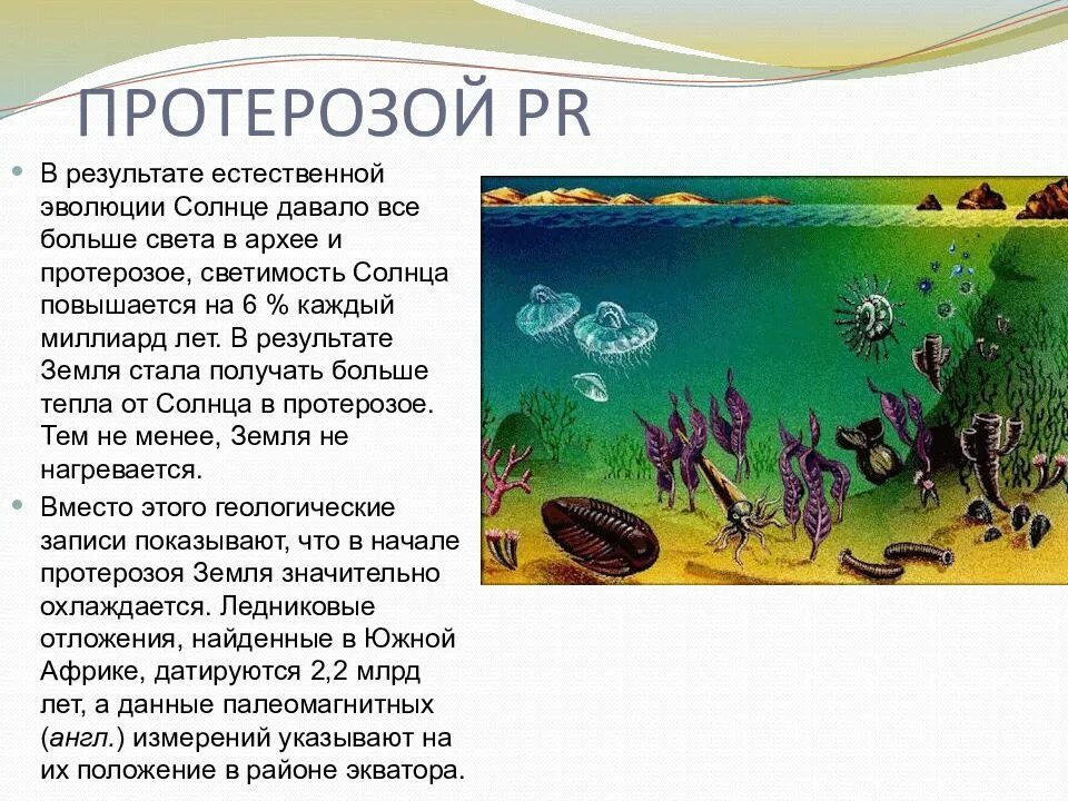 Протерозой Эра. Жизнь в протерозое эру. Протерозой Эра растения. Водоросли в эру протерозой. Живые организмы протерозойской эры