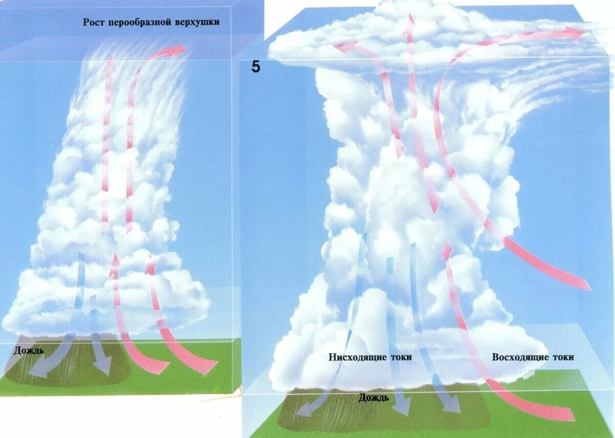 Строение кучево дождевого облака. Грозовые облака образование. Образование облаков в атмосфере. Конвективный поток воздуха.