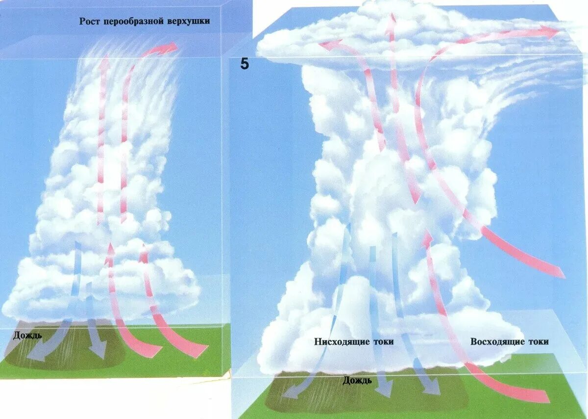 Строение кучево дождевого облака. Грозовые облака образование. Образование облаков в атмосфере. Конвективный поток воздуха. Воздух поднимается от земли влага начинает конденсироваться