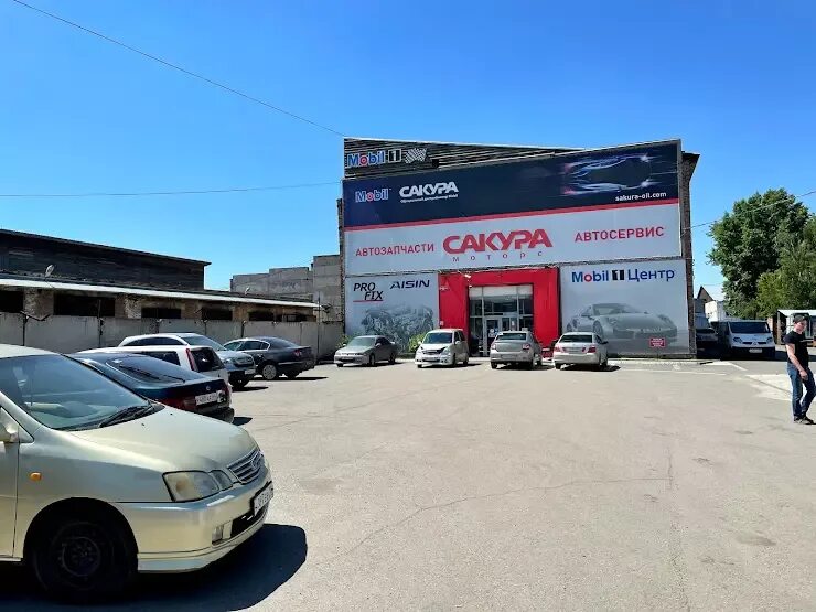 Сакура моторс абакан телефон. Сакура абакан. Сакура железногорск красноярский край. Сакура моторс абакан. Сакура моторс абакан.