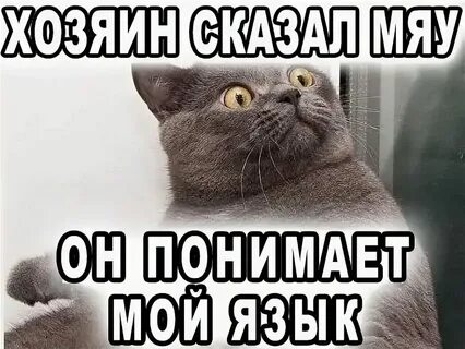 Что дом говорит о хозяине
