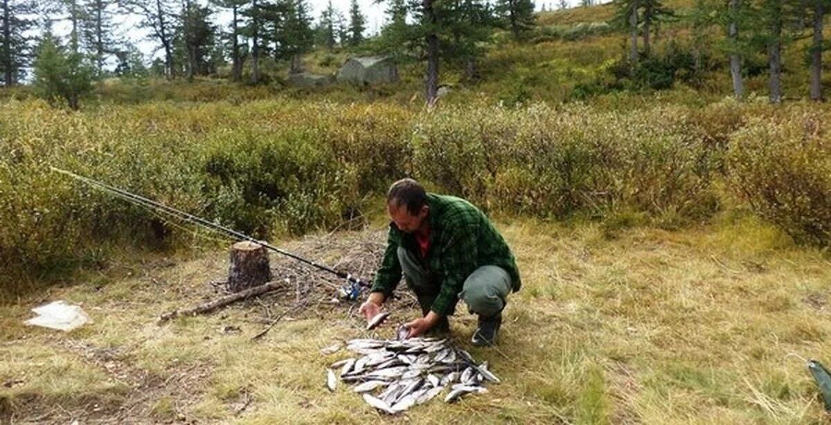 Ловля в сибири. Рыбалка в тайге. Путешествие в тайгу.