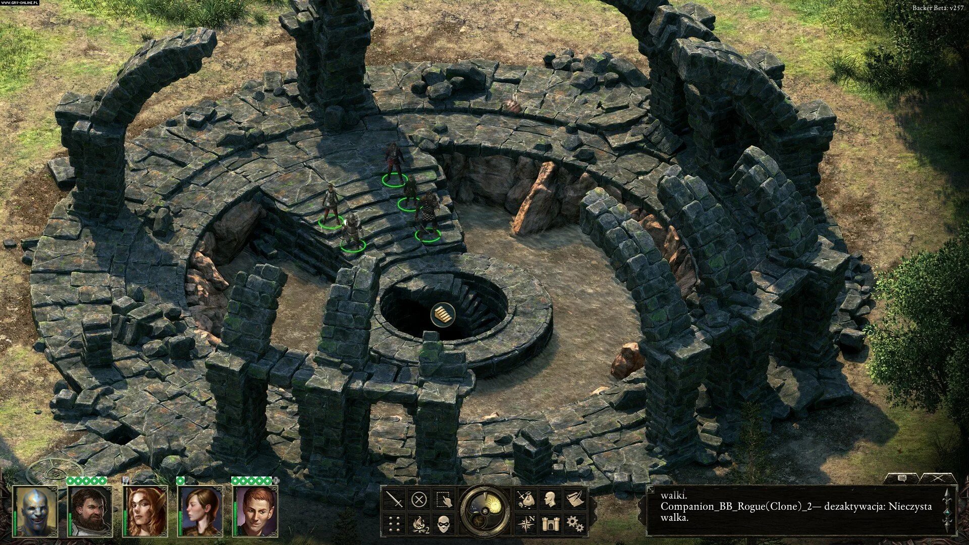 Pillars of Eternity Definitive Edition. Baldur's Gate 3 гетьянка. Baldur's Gate 3 медведь. Балдурс гейт 3.