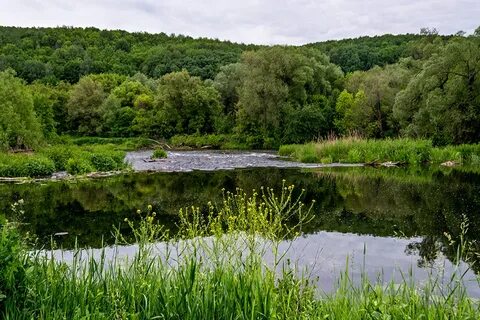 Харьковская область деревня