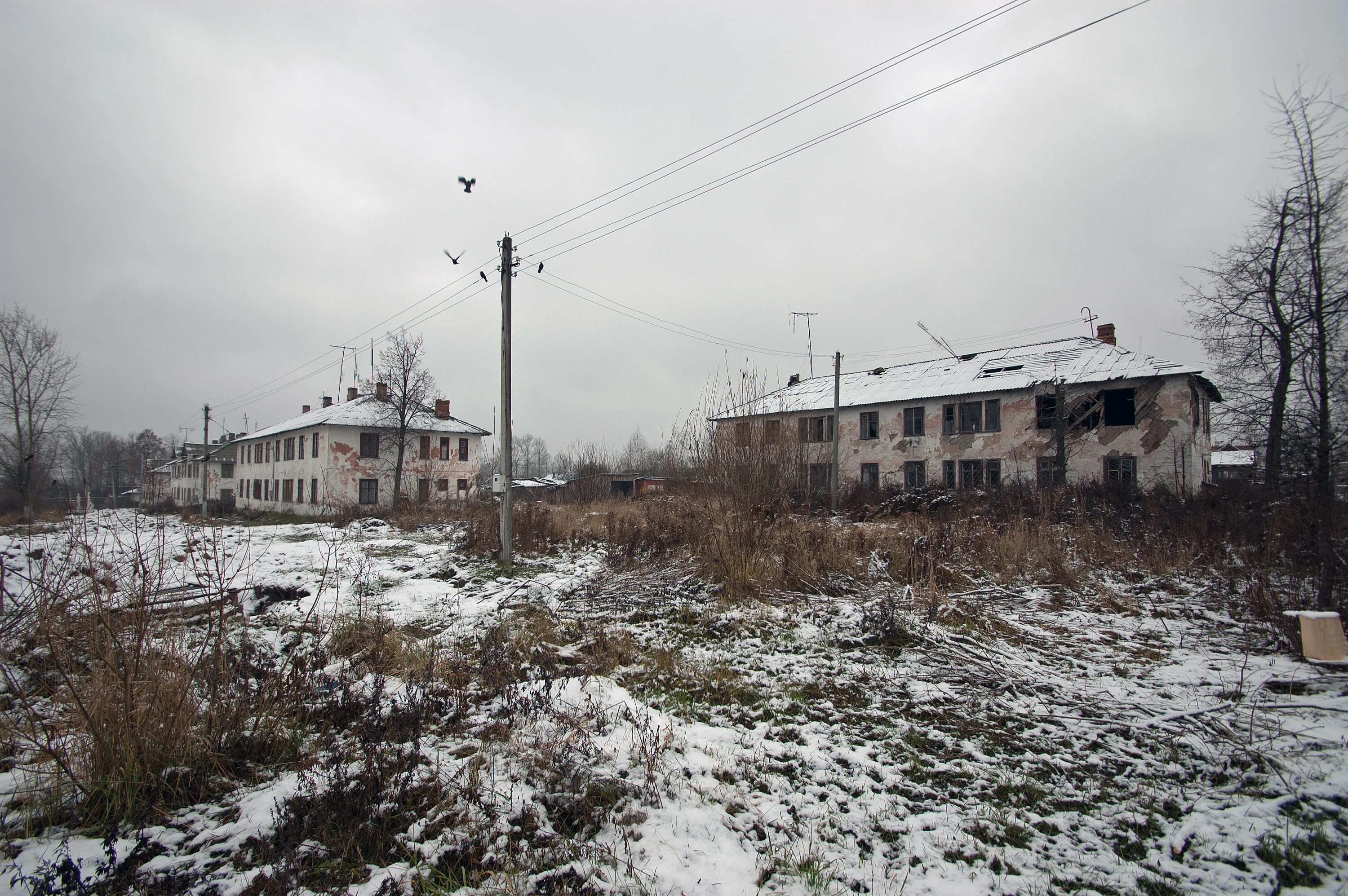 File:Ageev Tula-regionen - panoramio (3).jpg - Wikimedia Commons