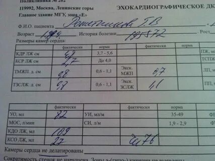 Расшифровка узи сердца у взрослого таблица