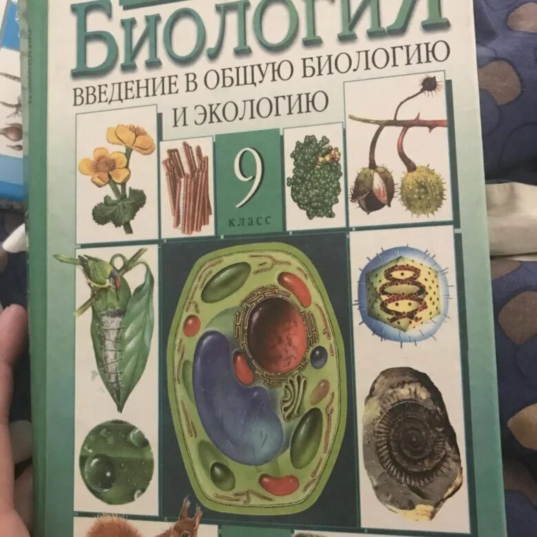 Биология 9 класс. Учебник по биологии. Учебник по биологии 9.