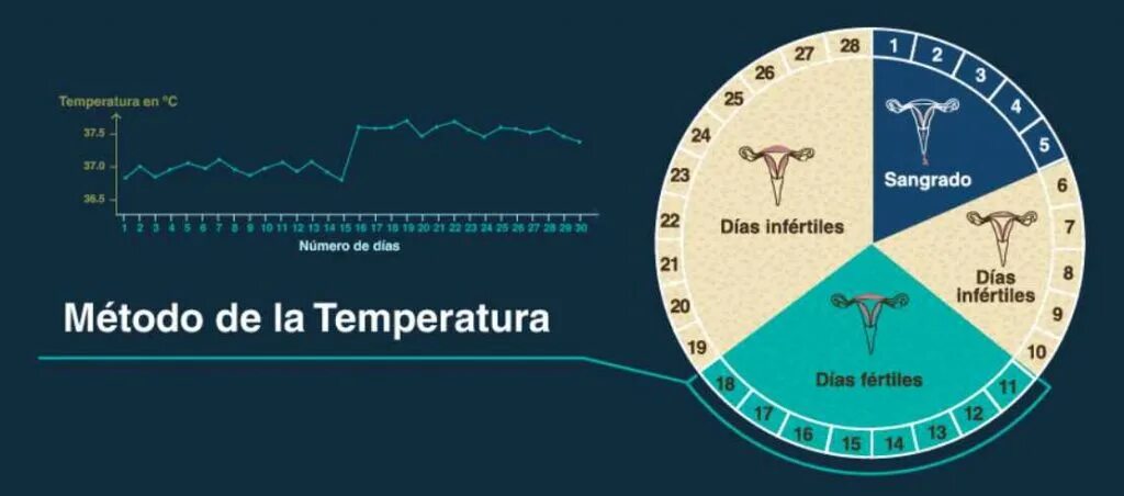Температура брест. Температура брест. Температура брест. Колумбия средняя температура летом. Температура арт.