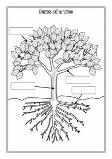 Parts tree