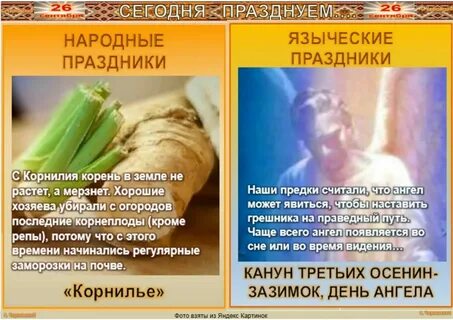 Народные приметы на 29 сентября 2024 года