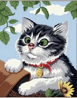 Номер котика