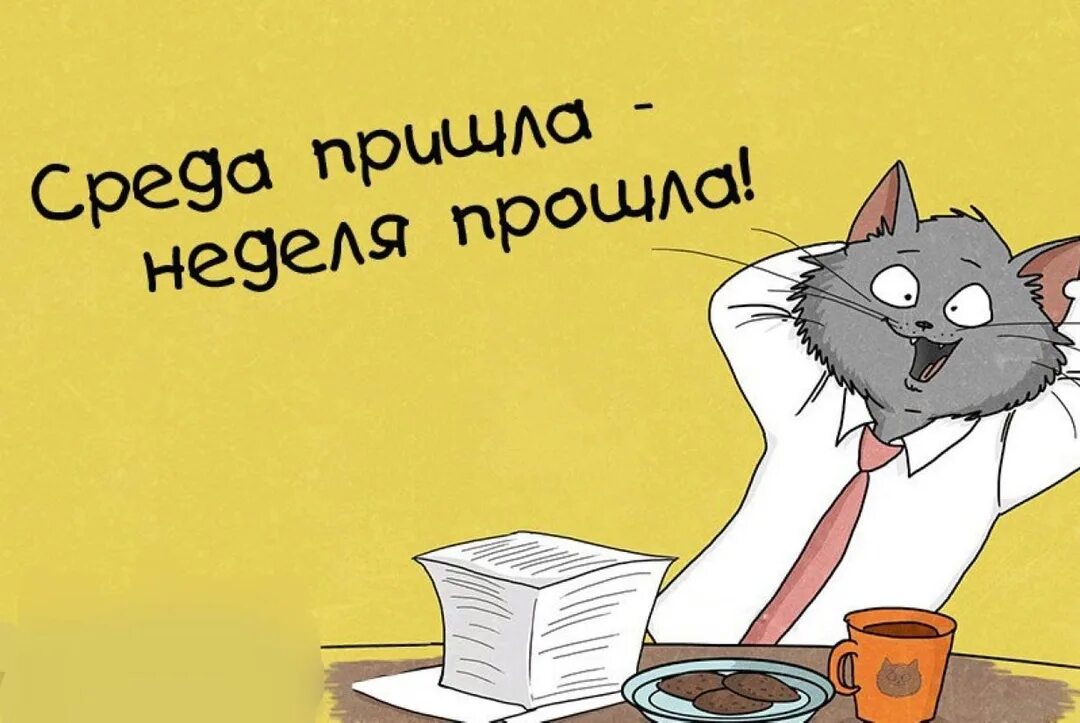 С ними мы уже работаем