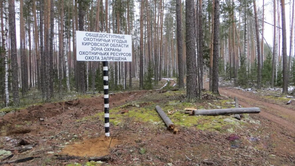 Зона охраны охотничьих ресурсов. Аншлаги в охотничьем хозяйстве. таблички охотничьих угодий.