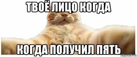Мемы 5 текст