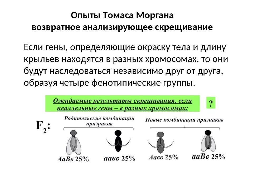 Опыты Томаса Моргана. Теория наследственности Моргана. Опыты т. Моргана: сцепленное наследование. Теория сцепленного наследования