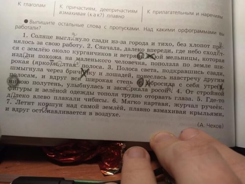 Главная мысль текста чибисы. Предложение под цифрой 5. Пунктуационный разбор предложения под цифрой 5. Разбор под цифрой 5 пунктуационный. Разбор предложения под цифрой 5.