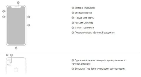 Кнопки на айфоне 12
