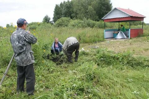 Погода в новое ибрайкино на 10 дней