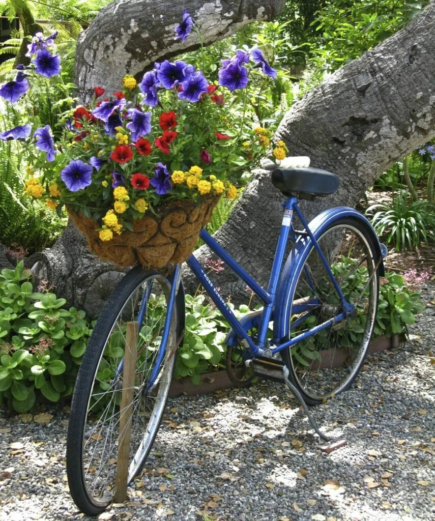 Велосипед в цветах зеленый. Велосипед в саду декор. Велосипед цветник. Велосипед цветник для сада. Декор для сада из старого велосипеда.