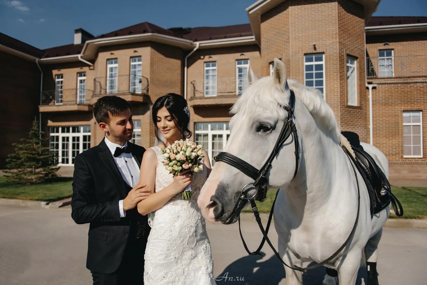 Golden Horse Таганрог. Голден Хорс Таганрог свадьба. Конный клуб Таганрог Голден Хорс. Золотая лошадь Таганрог гостиница. Голден хорс отзывы