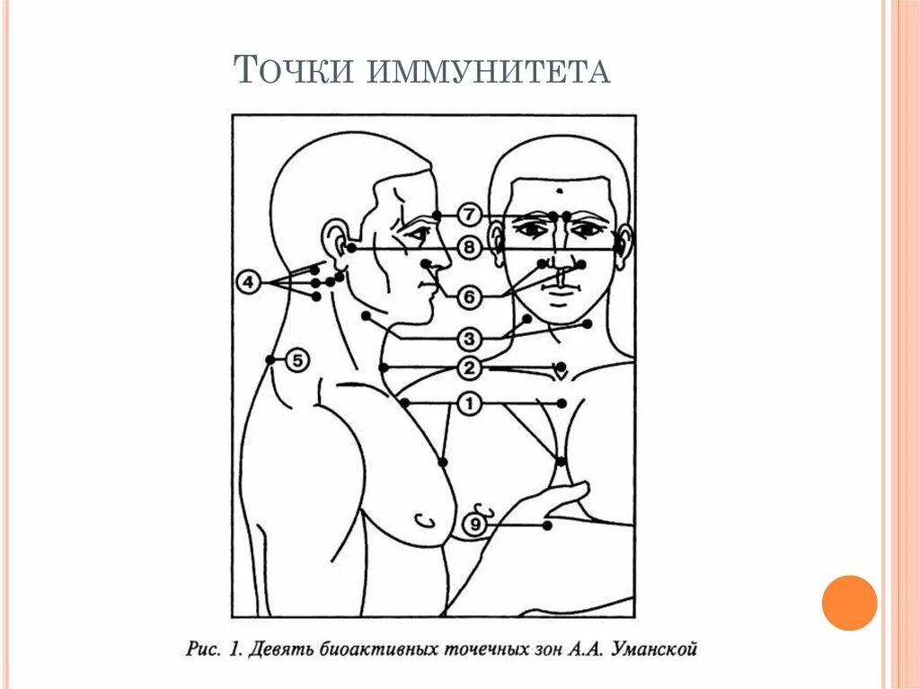 Точечный массаж для понижения артериального давления. Повышение точки. Точечный массаж для снижения артериального давления. Точки для повышения давления при гипотонии. Повышение температуры кипения растворителя.