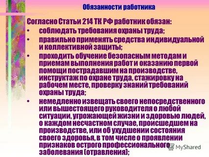 Обязанности работников аудита охраны труда