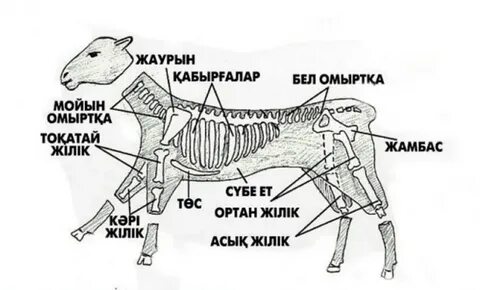 Мультфильм перілері порно