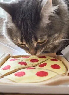 Pizza cats