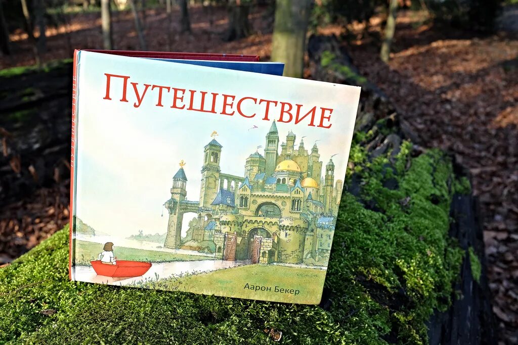 мужчина путешествует. мифы о путешествиях. мифы о путешествиях. ориентирование в походе. красивые путешествия.