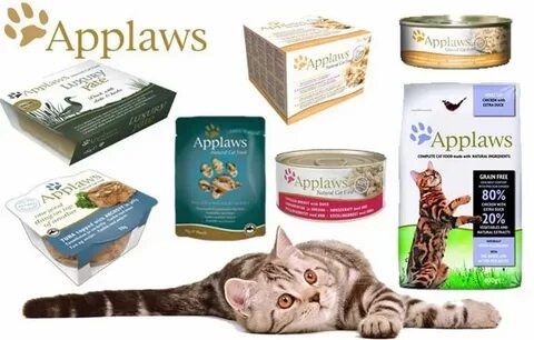 Чем заменить корм для кошек