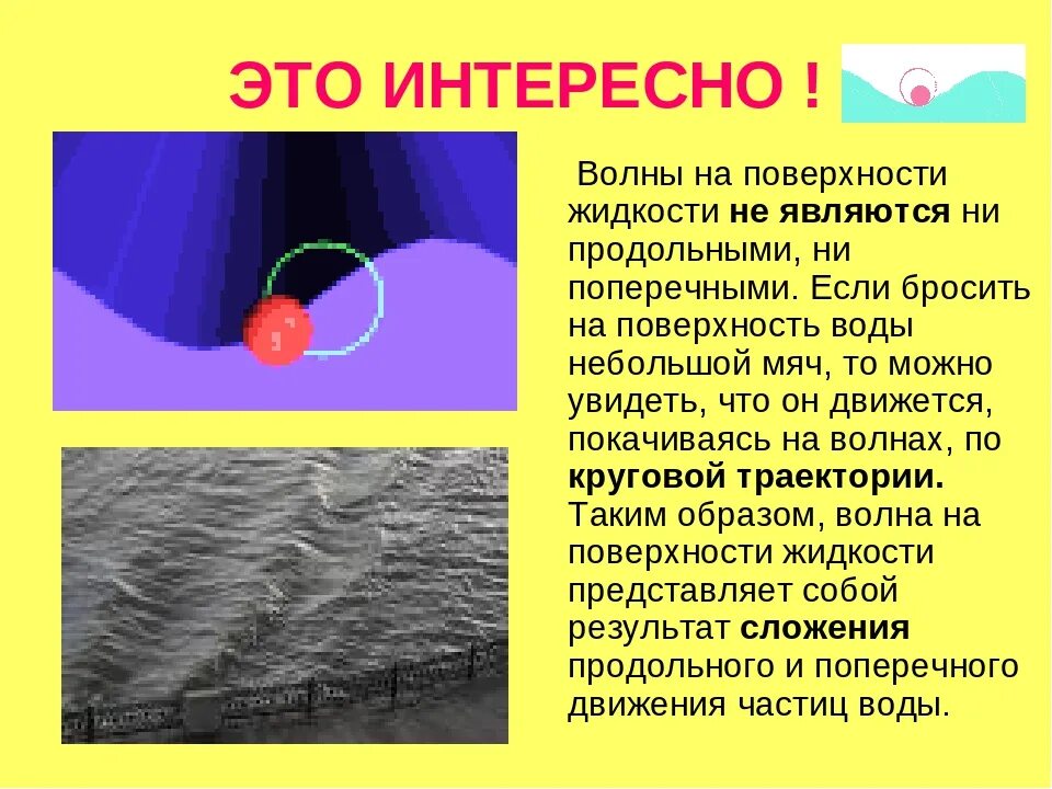 Как выглядит звуковая волна. Звуковая волна. Инфразвук и ультразвук факты. Характеристики звуковых волн. Интересные факты о волнах.
