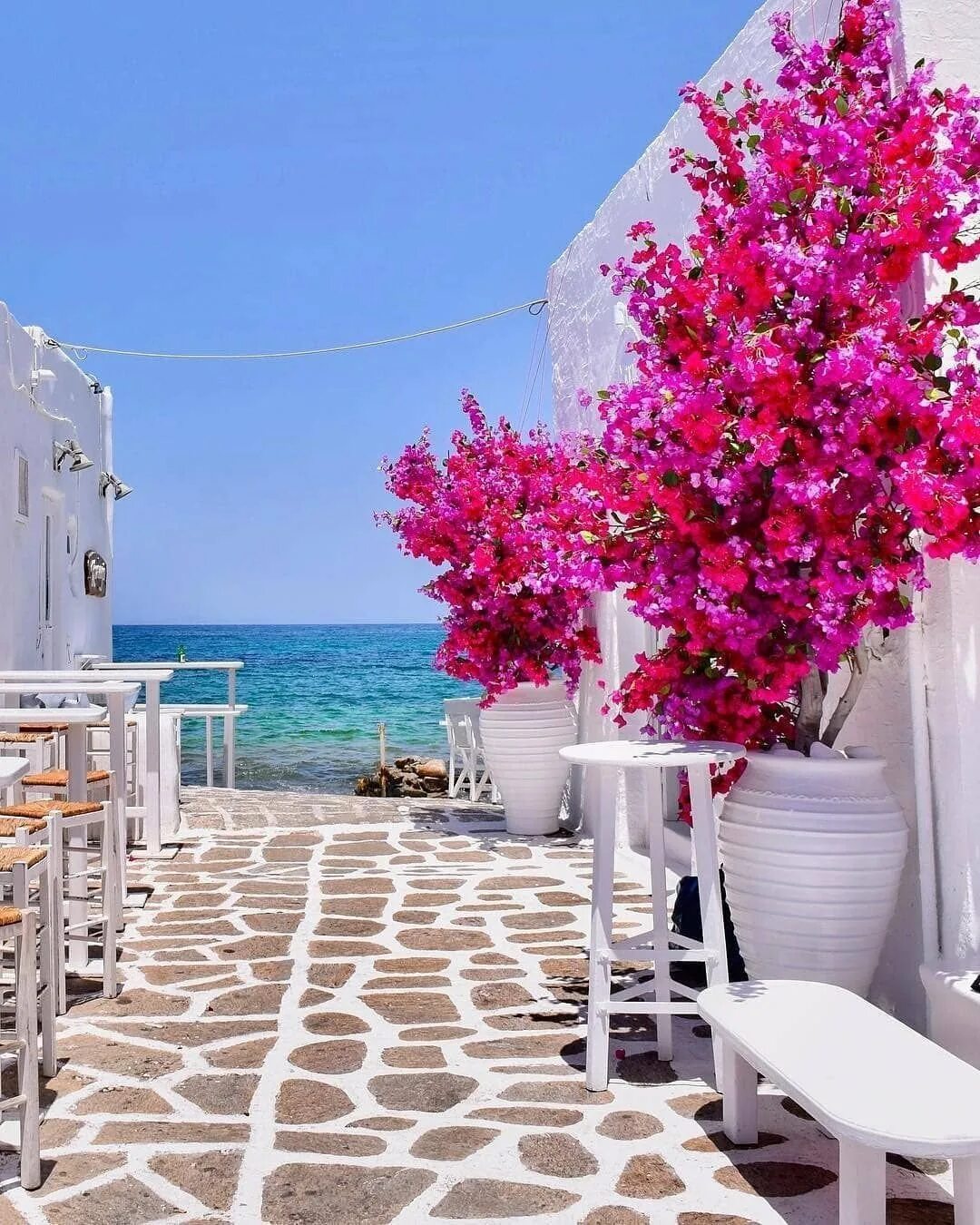 Кипр красиво. Санторини греция бугенвиллия. santorini кипр. остров парос греция. миконос улочки греция.