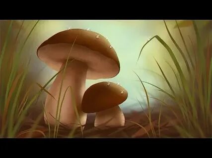 Видеоуроки грибы