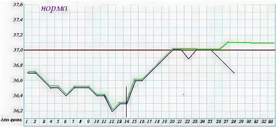 График базальной температуры норма. Базальная температура норма. График БТ при беременности. График БТ при беременности до задержки. Температура базальная тест отрицательный