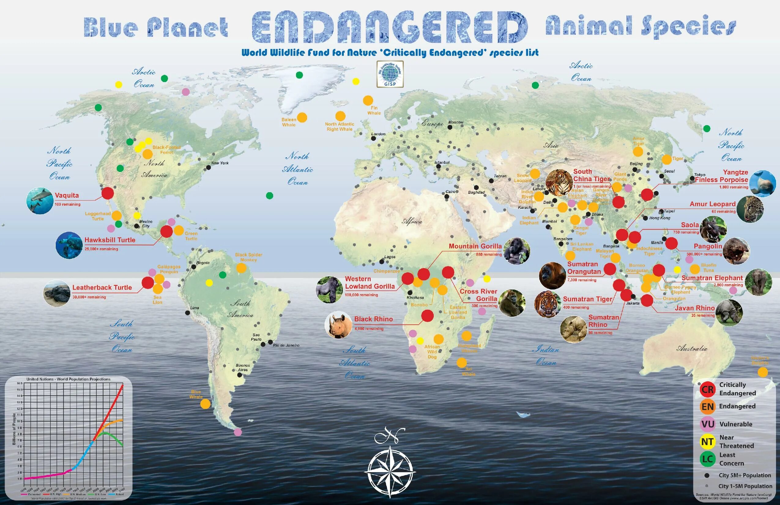 Release reduce adopt reusable endangered species. Map of endangered animals. Endangered species World Map. Endangered animals World Map. Endangered animals on the Map.