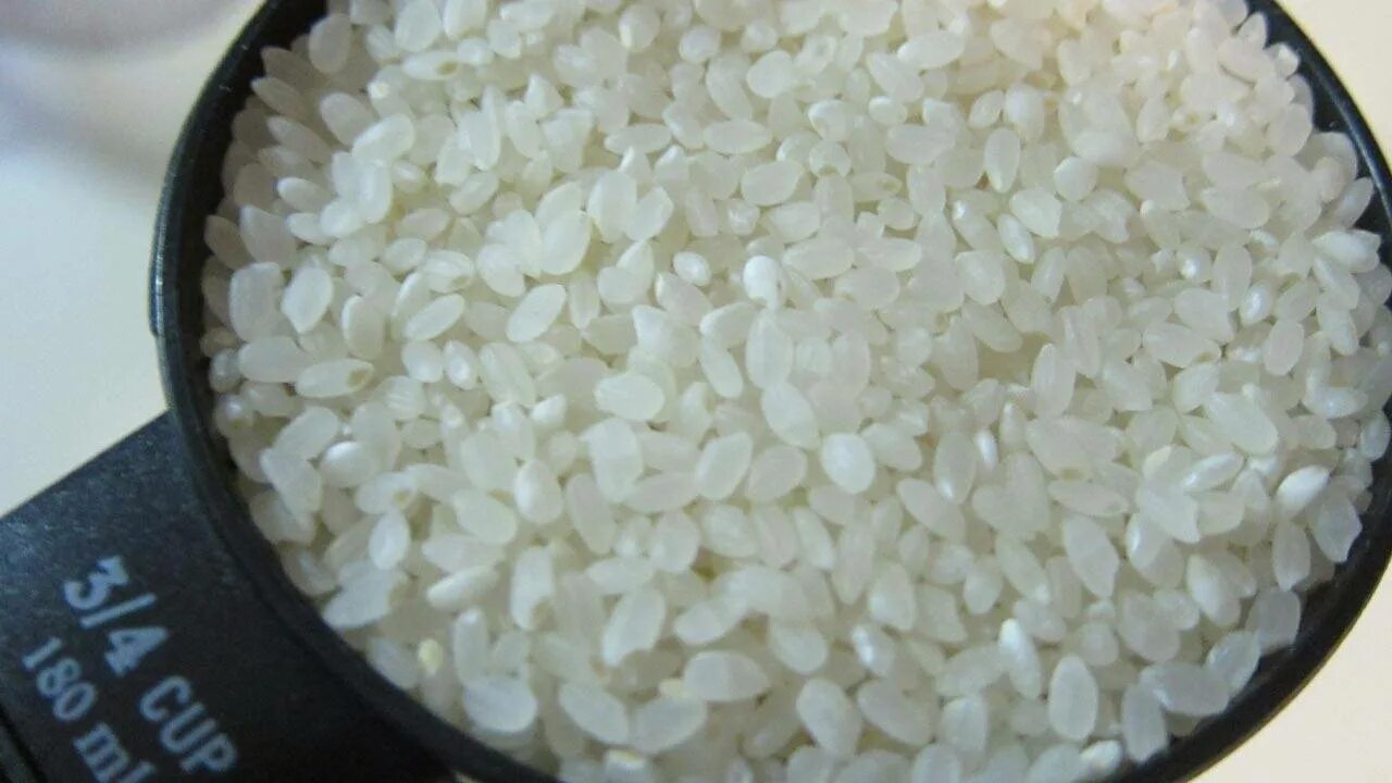 Рис дробленый купить. Рис обычный. Круглый рис. Рис дробленый. Крупный круглый рис.