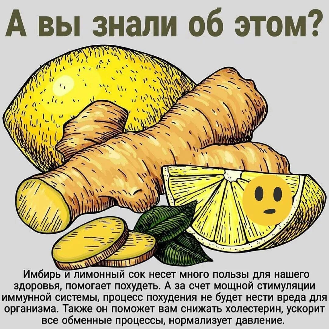 Лимон с имбирем польза для мужчин