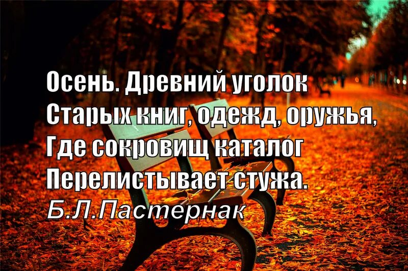 Осень цитаты из книг. Цитаты про осень. осенние афоризмы красивые. красивые осенние цитаты. умные мысли про осень.