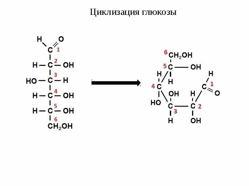 Функциональные группы в молекуле глюкозы. Циклизация моносахаридов. Образование циклической формы Глюкозы. Циклизация Глюкозы. Α-D-Глюкоза.