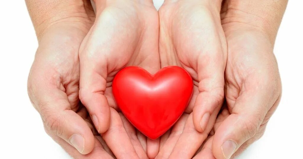 сердечко руками. сердце в руках. сеhlwt d hef[. сердце для медиков. забота о сердце.